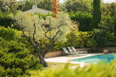 a pool with two lounge chairs next to a tree at Magnifique Villa Provençale in Rognes