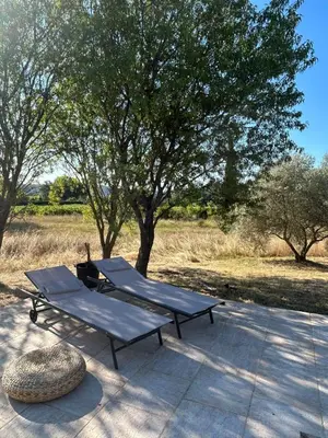 a picnic table sitting on a patio under a tree at Authentique mas provençal avec piscine in Beaumont-de-Pertuis