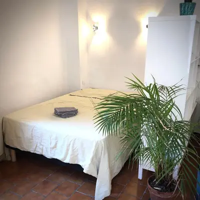 a bedroom with a bed with a plant next to it at Appart de charme CLIM 37m2 T1 Hôtel de ville in Aix-en-Provence