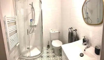 a bathroom with a shower and a toilet and a sink at Appart de charme CLIM 37m2 T1 Hôtel de ville in Aix-en-Provence