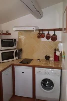 a kitchen with a washing machine and a microwave at Gîte une treille en provence in Saint-Didier