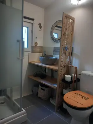 a bathroom with a sink and a toilet and a mirror at Ty'ca house in Velleron