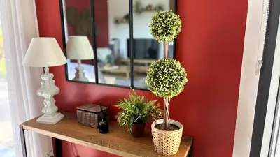 a shelf with two potted plants and a mirror at Le Secret des Pins in Pernes-les-Fontaines