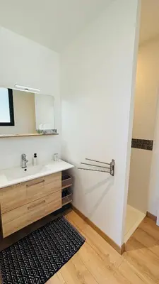 a bathroom with a sink and a mirror and a rug at Le Secret des Pins in Pernes-les-Fontaines