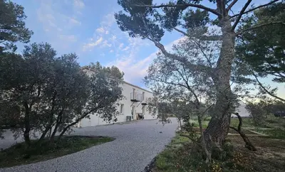 a white house with a tree in front of it at La Cayon Au coeur des oliviers en Provence in Pélissanne