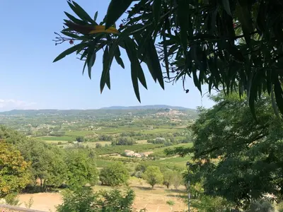 a view of a valley from a tree at studio au coeur de Lacoste in Lacoste