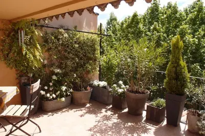 a patio with a bunch of potted plants at Le Sainte-Victoire - Studio cosy avec sa jolie terrasse - Centre ville historique in Aix-en-Provence