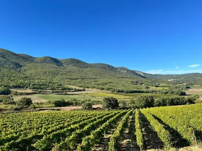 a view of a vineyard with mountains in the background at Le Grand Hermas in Saint-Martin-de-Castillon