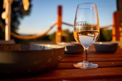 a glass of wine sitting on top of a table at La Tiny House des Vignes du Château de Vauclaire in Meyrargues