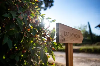 a wooden sign in front of a tree at La Tiny House des Vignes du Château de Vauclaire in Meyrargues