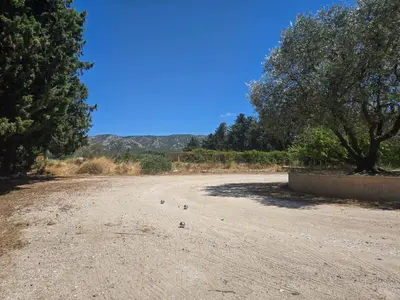 a dirt road with some birds on it at Luboregard in Cheval-Blanc