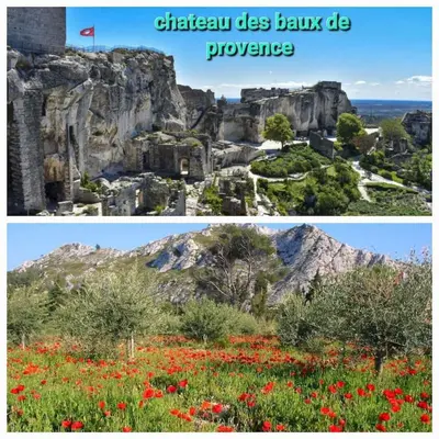 a collage of two pictures of a field of flowers at Maison de village rénovée au pied des alpilles in Mollégès