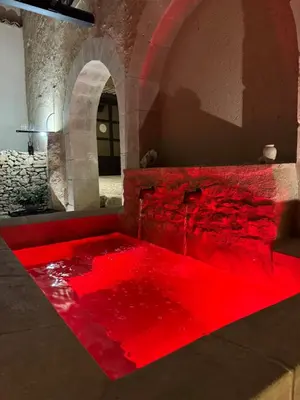 a red floor in a room with a stone wall at Atlantes de Saint Saturnin in Saint-Saturnin-les-Apt