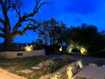 a pool of water with a tree and a field at Grande Villa dans le Parc du Luberon in Beaumont-de-Pertuis