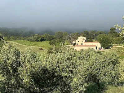 a house in the middle of a field with trees at Grande Villa dans le Parc du Luberon in Beaumont-de-Pertuis