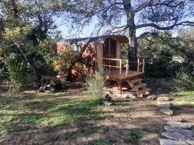 a house sitting in a field next to a tree at Le MAS DES VERGIERS in Murs