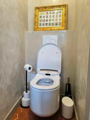 a bathroom with a toilet with a picture above it at Appartement Superbe 2 personnes Coeur de ville l'Isle sur Sorgue in LʼIsle-sur-la-Sorgue