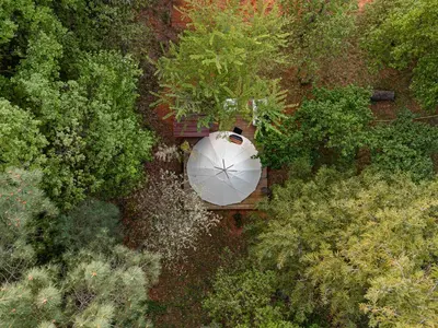 an overhead view of a white table in a forest at Tipi à Roussillon in Roussillon