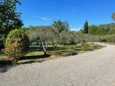 a row of olive trees on a gravel road at Maison Cireline en Provence, Rognes in Rognes