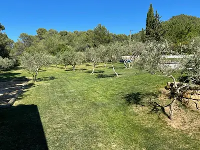 an apple orchard with trees and a grass field at Maison Cireline en Provence, Rognes in Rognes