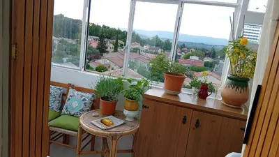 a room with a table with potted plants and windows at T3 campagne d'Aix-en-Provence in Meyrargues