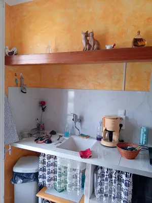 a kitchen sink with two cats sitting on a shelf at T3 campagne d'Aix-en-Provence in Meyrargues