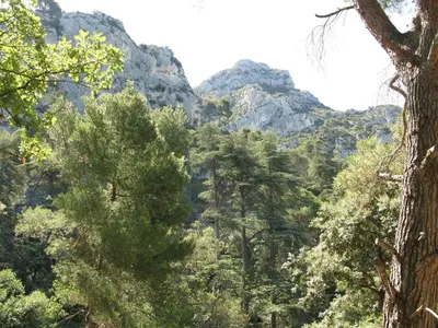 a forest of trees with mountains in the background at Maison en PROVENCE in Robion en Luberon