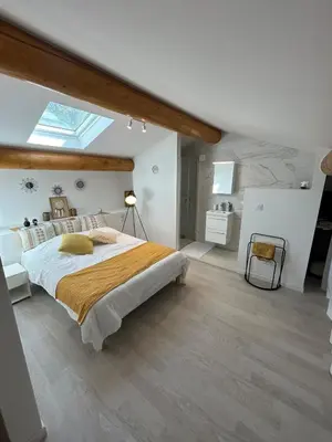 a bedroom with a large bed and a skylight at Charmante maison avec piscine et grand jardin in LʼIsle-sur-la-Sorgue