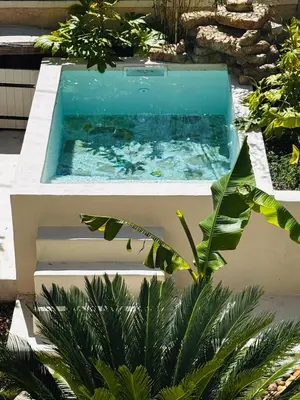 a plunge pool in a garden with plants at Le Beldi, Mas de Village 1870 in Saint-Saturnin-lès-Avignon