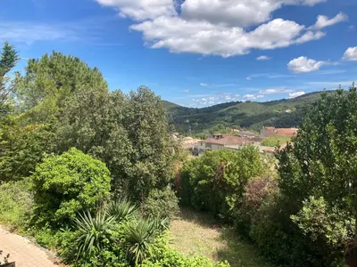 a view of a garden with trees and bushes at Maison de famille en Provence in Rognes