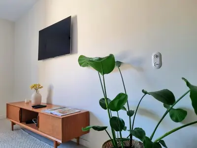 a living room with a tv and a potted plant at MAYU MAYU - cocon centre-ville climatisation in Aix-en-Provence