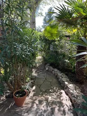 a garden with plants and a stone path at Maisonnette de charme dans domaine naturiste au pied du Mont Ventoux ! in Bédoin