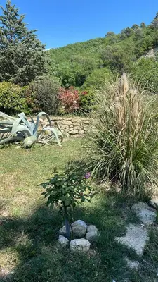 a small tree in the grass in a garden at Studio indépendant avec piscine proche Lourmarin in Lourmarin