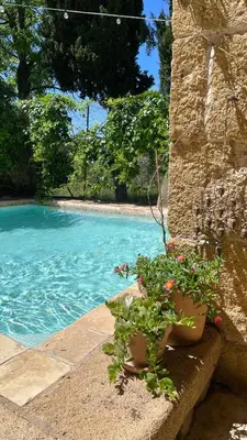 a potted plant sitting next to a swimming pool at Mas provençal, entre vignes et oliviers in Lambesc