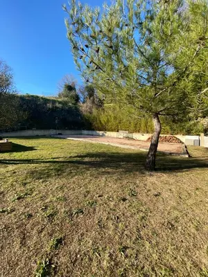 a tree in the middle of a grass field at Villa avec vue sur le pilon du roi in Aix-en-Provence