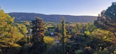 a view of a forest with trees and mountains at Les 2 voûtes - Mas provençal pour 10 personnes in Oppède