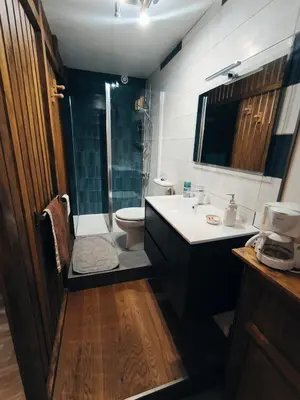 a bathroom with a sink and a toilet and a shower at Chez Nine, chambre indépendante avec terrasse in Sénas