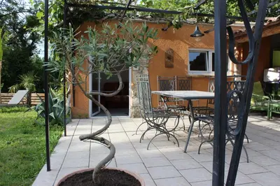 a plant in a pot on a patio with a table at PROVENCE VAUCLUSE VELLERON Superbe maison avec piscine tout confort in Velleron