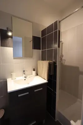 a bathroom with a sink and a mirror and a shower at Studio cozy au coeur du village - Wifi - Netflix in Monteux