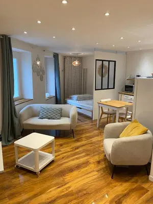 a living room with two couches and a table at Studio Cosy in Pélissanne