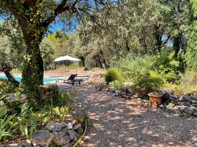 a garden with a bench and a tree and a pool at Maison paisible au coeur du Luberon in Bonnieux