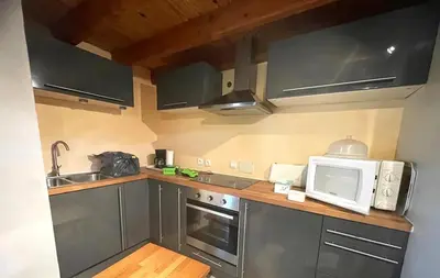 a kitchen with stainless steel appliances and a microwave at Maison confortable à Velleron de 50 m² avec piscine in Velleron