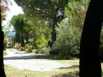 a garden with trees and bushes and a dirt road at Maison de charme en Luberon à proximité de Lourmarin piscine privée et grand jardin in Puyvert