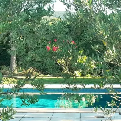 Maison de charme en Luberon à proximité de Lourmarin piscine privée et grand jardin