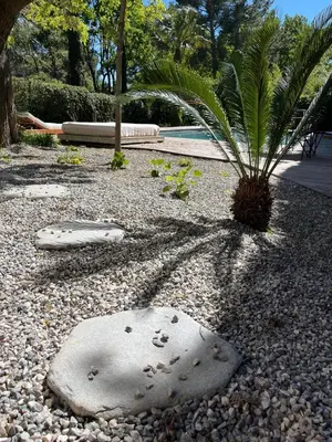 a palm tree sitting on top of a gravel yard at La Réserve Hôtes in Aix-en-Provence