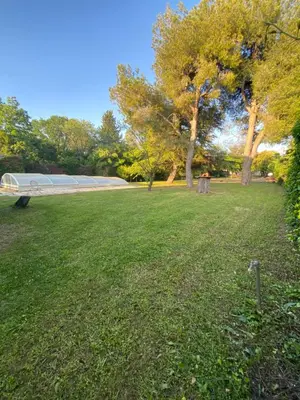 a park with trees and a bench in the grass at Les Mourguettes maison familiale avec piscine et garage sur 2000 m2 de terrain en campagne in Carpentras