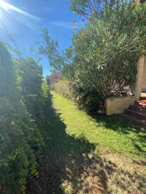 a grassy yard with a tree and a house at Les Mourguettes maison familiale avec piscine et garage sur 2000 m2 de terrain en campagne in Carpentras