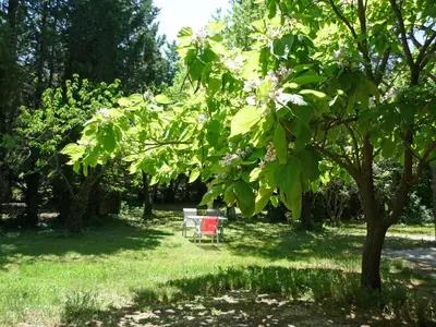 a picnic table and a tree in a park at Mas De La Pomme De Pin in Noves