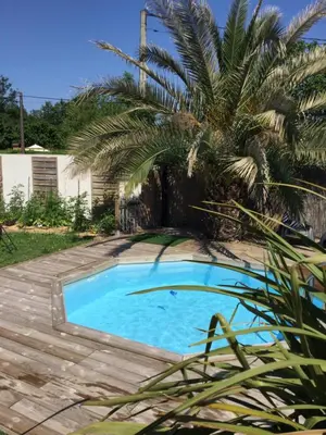 a swimming pool in a yard with a palm tree at Nid douillet au cœur du Vaucluse in Entraigues-sur-la-Sorgue