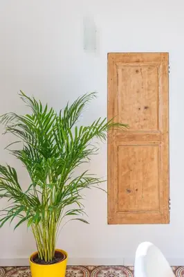 a plant in a yellow pot next to a door at Appartement spacieux, chaleureux & tout confort in Pertuis